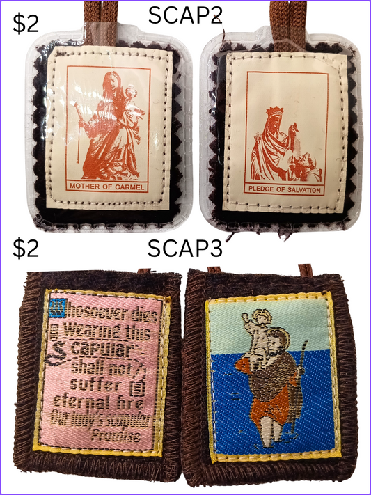 SCAPULARS: SCAP2, SCAP3