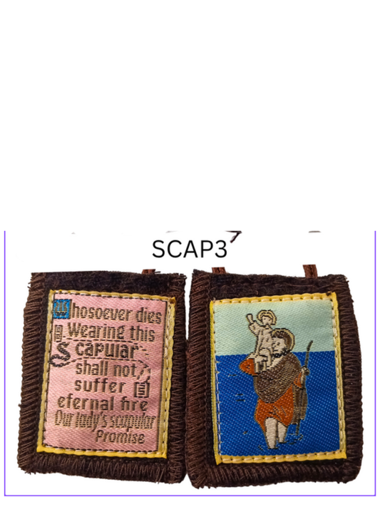 SCAPULARS: SCAP2, SCAP3